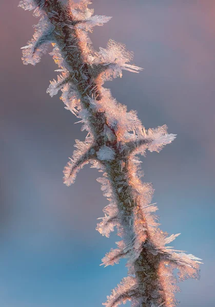 Background hoarfrost frost with sunrise light at cold morning — Stock Photo, Image