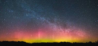 Samanyolu ve kuzey ışıkları Ormanın üzerinde Aurora borealis