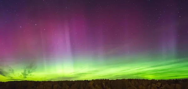 Luzes do norte - Aurora boreal é sobre a floresta — Fotografia de Stock