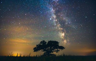 Gece gökyüzü estetiği, gece gökyüzü yıldızları arka planda meşe ağacı, yol gezisinde güzel bir gece manzarası