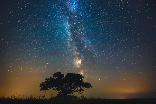 Ästhetik des Nachthimmels, Sterne am Nachthimmel mit alter Eiche im Hintergrund, schöne Nachtsicht bei einem Roadtrip — Stockfoto