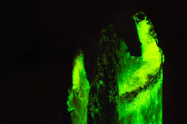 Einzigartige Hintergrundstruktur aus biolumineszierendem Holz, das im Dunkeln leuchtet — Stockfoto