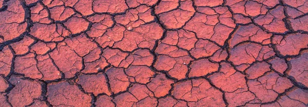Terreno seco y agrietado, seco por falta de lluvia. Efectos del cambio climático, como la desertificación y las sequías —  Fotos de Stock