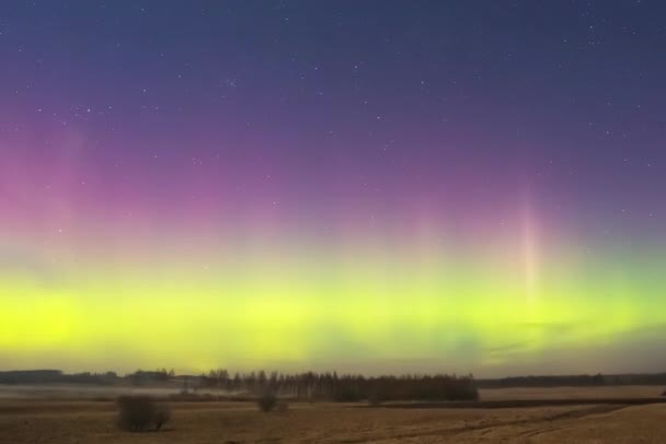 Timelapse of aurora borealis in Lituania, Europe — Vídeo de stock