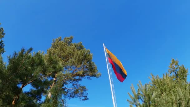 República de Lituania Bandera con asta de bandera ondeando en el viento, cielo con nubes en el fondo — Vídeos de Stock