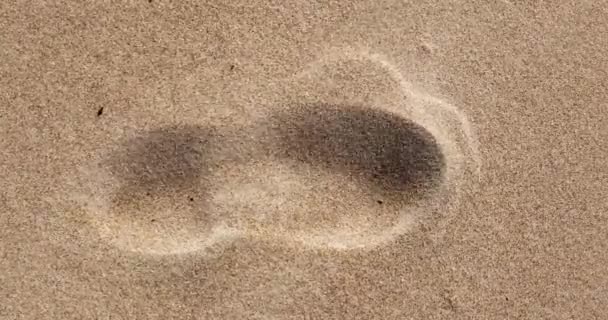 Voetstap in het zand, sterke wind die de voetstap snel bedekt — Stockvideo