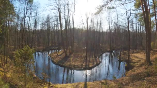 Gruda river in Lithuania at spring, beautiful sunny view of river — Stock Video