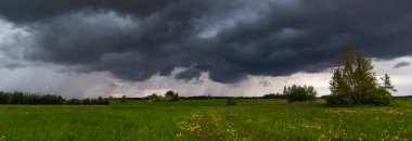 Çayırlarda fırtına bulutları, yaz, Litvanya