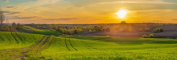 Grüne Feldlandschaft im Frühling, frisches grünes Gras mit warmem Sonnenlicht — Stockfoto