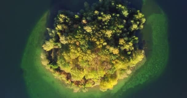 Top view above the green island in the lake — ストック動画