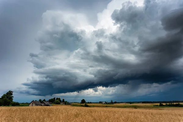 Gewitterwolken über den Feldern, Sommer, Litauen — Stockfoto