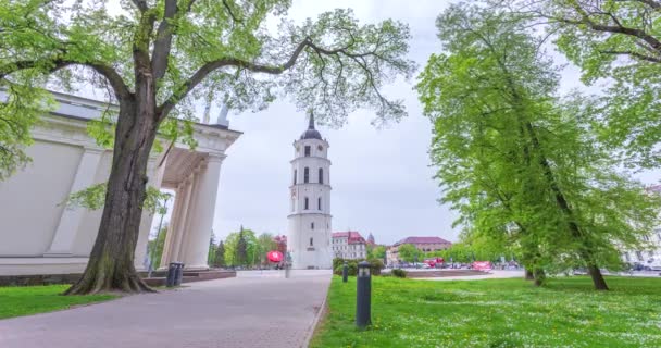 2022 년 5 월 20 일: 리투아니아 빌뉴스의 시립 공원을 걷고 있는 사람들 — 비디오