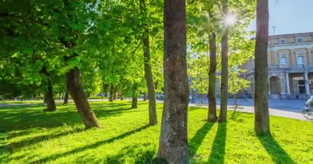 23 MAGGIO 2022: Persone che camminano nel parco cittadino di Vilnius, Lituania — Video Stock