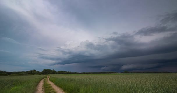 フィールド上の嵐の雲 フィールド上の雨 極端な天候 危険な嵐 4Kタイムラプスビデオ — ストック動画