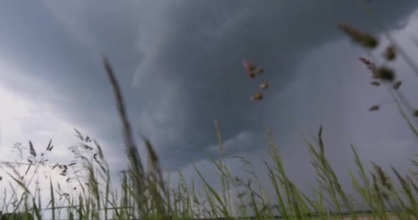 Stormmoln Över Fält Regn Över Fält Extremt Väder Farlig Storm — Stockvideo