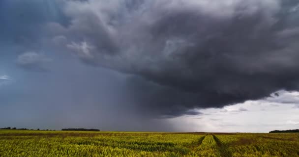 Viharfelhők Mező Felett Tornádó Szuperautó Szélsőséges Időjárás Veszélyes Vihar Európában — Stock videók