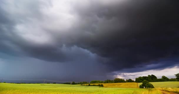 Σύννεφα Καταιγίδας Πάνω Από Πεδίο Tornadic Supercell Ακραίες Καιρικές Συνθήκες — Αρχείο Βίντεο