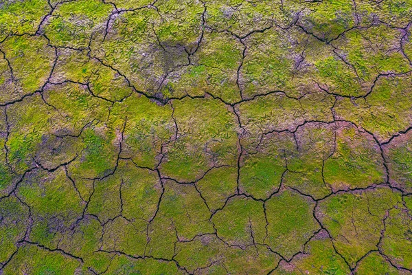 Nature Background Cracked Dry Lands Natural Texture Soil Cracks Climate — Stockfoto