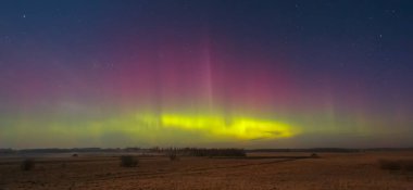 Kuzey ışıkları Ormanın üzerinde Aurora borealis