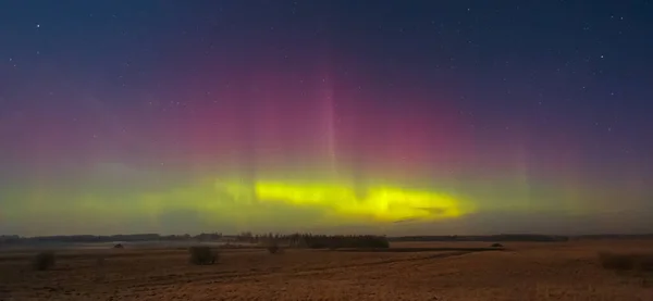 Північні Вогні Aurora Borealis Над Лісом — стокове фото