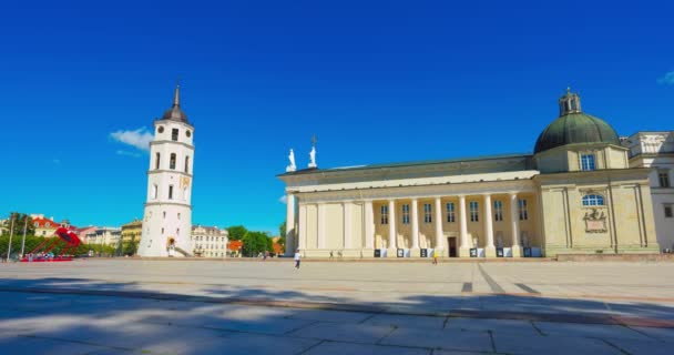 Stadscentrum Vilnius Met Kathedraal Basiliek Litouwen Zomer Mensen Kathedraal Plein — Stockvideo