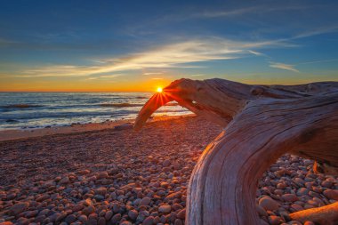 Dutch man cap landscape in Lithuania. Beautiful seaside landscape with old tree trunk. Summer sea landscape