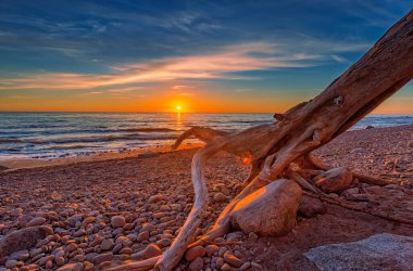 Dutch man cap landscape in Lithuania. Beautiful seaside landscape with old tree trunk. Summer sea landscape
