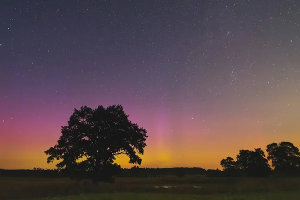 Звёздное Небо Светом Aurora Borealis Lights Литва — стоковое фото