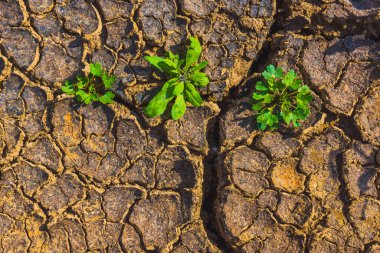 Cracked earth, metaphoric for climate change and global warming, drought in Europe