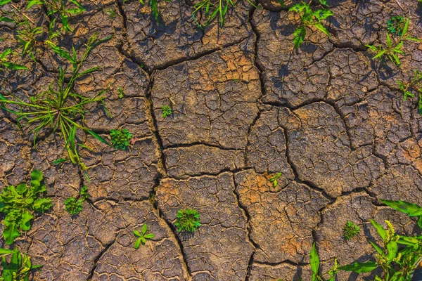 Cracked Earth Metaphoric Climate Change Global Warming Drought Europe —  Fotos de Stock
