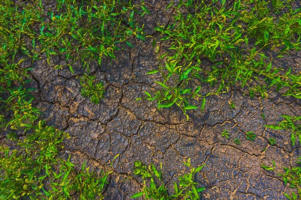 Cracked Earth Metaphoric Climate Change Global Warming Drought Europe — Stok fotoğraf