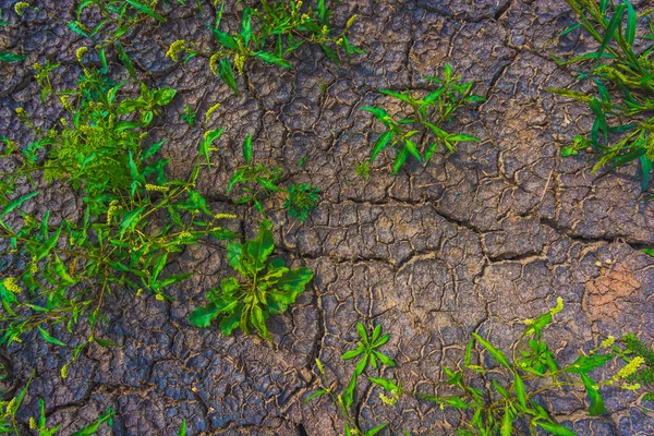 Cracked earth, metaphoric for climate change and global warming, drought in Europe