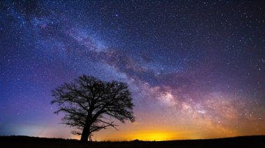 Night landscape with colorful Milky Way and an Oak tree, landscape with Milky way