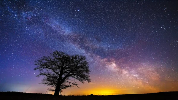Night Landscape Colorful Milky Way Oak Tree Landscape Milky Way — Stock fotografie