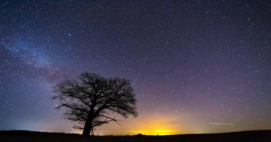 Time-Lapse of Milky-way rising above the tree, 4k timelapse of Milky way galaxy