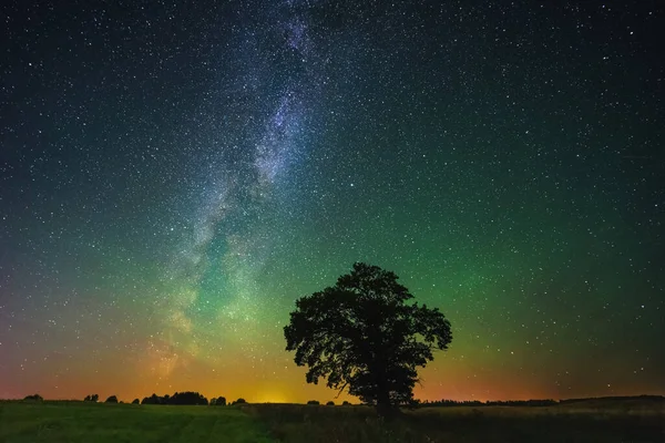 Night Landscape Colorful Milky Way Oak Tree Landscape Milky Way —  Fotos de Stock