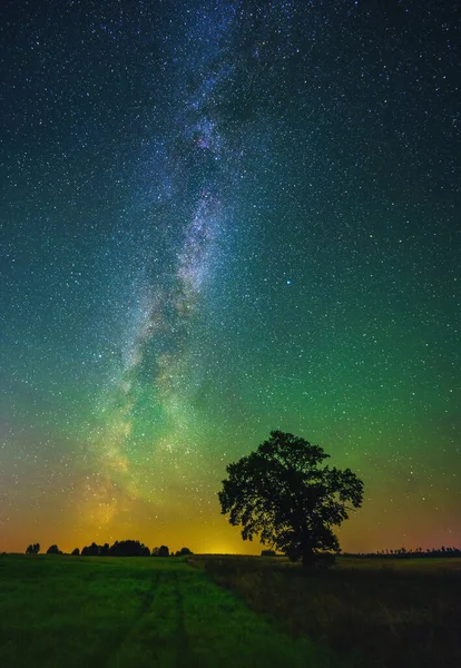 Night Landscape Colorful Milky Way Oak Tree Landscape Milky Way — Stock fotografie