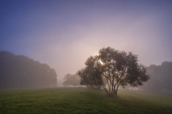 Mystischer Nebel Litauische Historische Hauptstadt Kernave Neblige Landschaft Der Kernave — Stockfoto