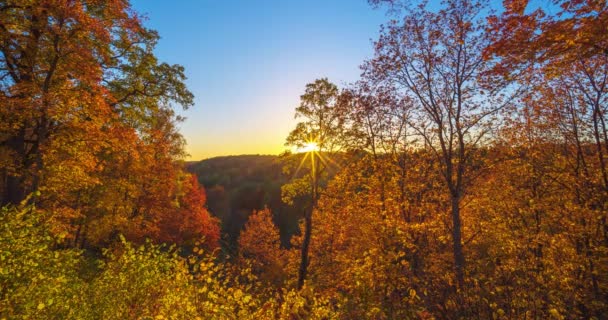 立陶宛五彩缤纷的秋天森林上方的金色落日 — 图库视频影像