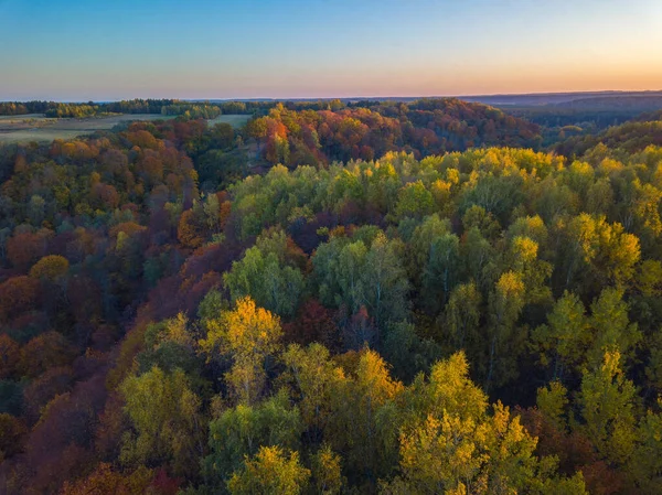 Podzimní Pohled Krajinu Zlatými Stromy Vzdušná Krajina — Stock fotografie