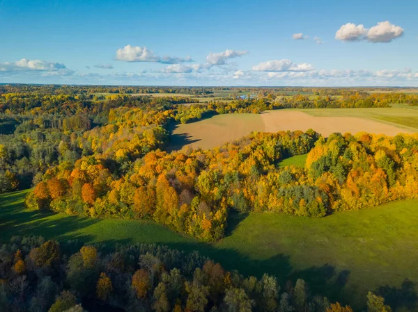 Letecká Podzimní Krajina Barevnými Javory Litva — Stock fotografie