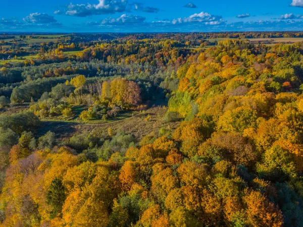 Letecká Podzimní Krajina Barevnými Javory Litva — Stock fotografie
