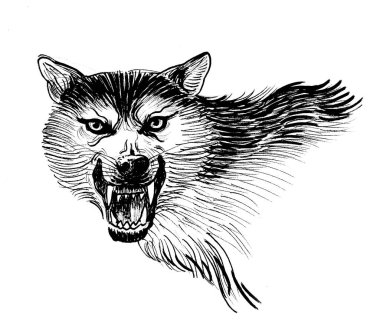 Kızgın kurt kafası. Mürekkep siyah ve beyaz.