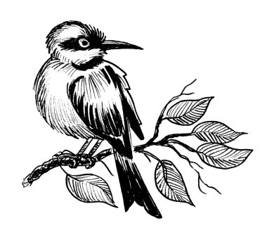Ağaç dalında oturan kuş. Mürekkep siyah beyaz çizim