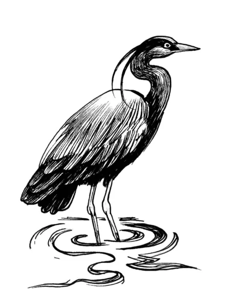 Heron Bird Standing Water Ink Black White Drawing — Stock Photo, Image