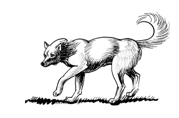 Koşan Köpek Mürekkep Siyah Beyaz Çizim — Stok fotoğraf