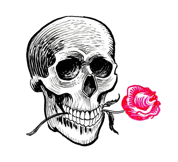 Cráneo Humano Con Una Rosa Roja Dibujo Tinta — Foto de Stock