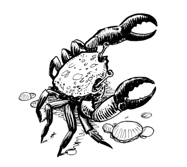 Crabe Mer Encre Dessin Noir Blanc — Photo