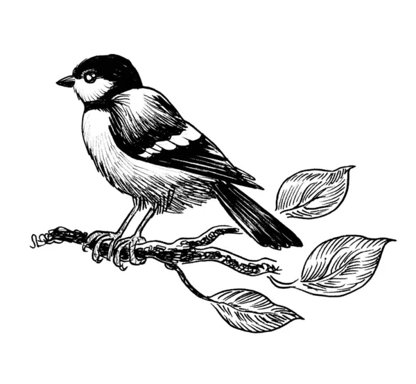 Lindo Pájaro Sentado Una Rama Árbol Tinta Dibujo Blanco Negro — Foto de Stock