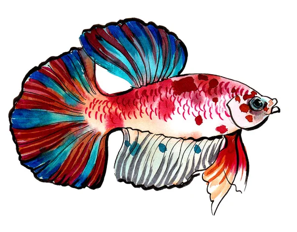Colorful Tropical Fish Ink Watercolor Drawing — Stock Photo, Image